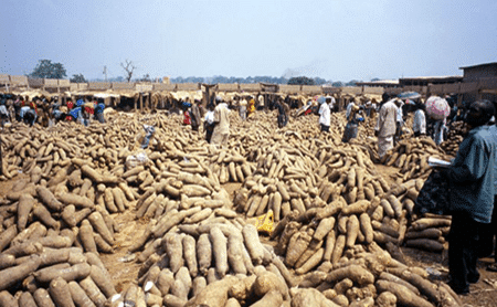 Yams produced in Ghana