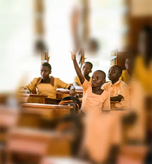 Projects | school system saito