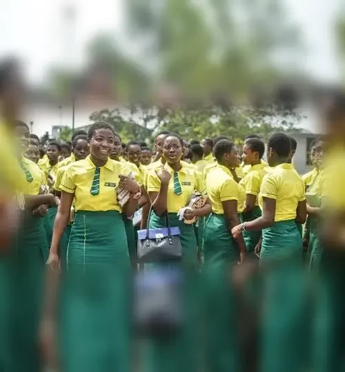 Projects | school system